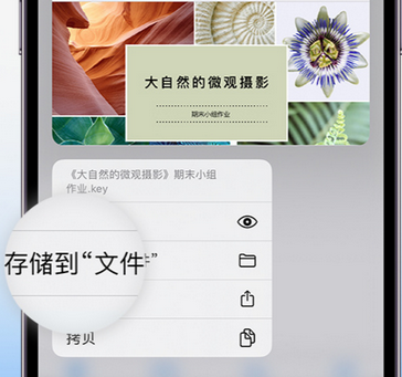 嘉祥apple维修中心分享iPhone文件应用中存储和找到下载文件