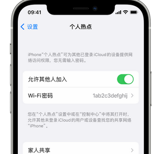 嘉祥apple服务站点分享iPhone上个人热点丢失了怎么办 