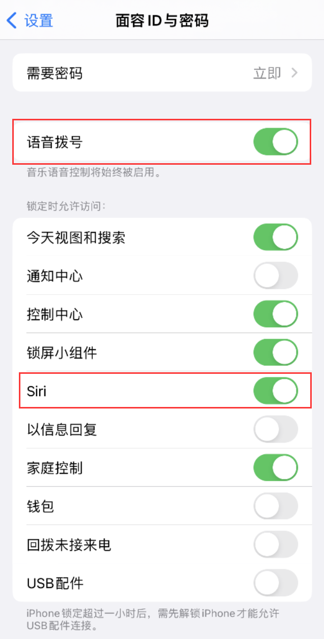 嘉祥苹果维修网点分享不解锁 iPhone 的情况下通过 Siri 拨打电话的方法 