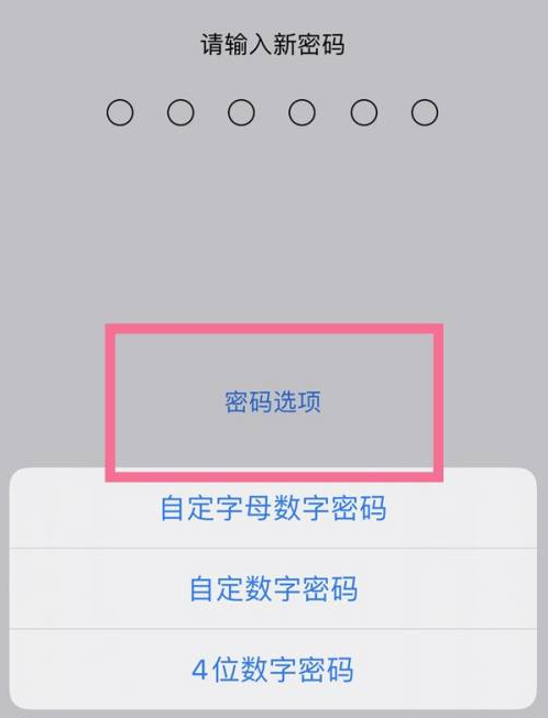 嘉祥苹果14维修分享iPhone 14plus设置密码的方法 