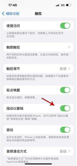 嘉祥苹果手机维修分享iPhone手机如何设置摇一摇删除文字 